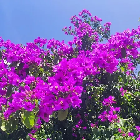 Casa Mirabilis 44 Holiday home Ostuni