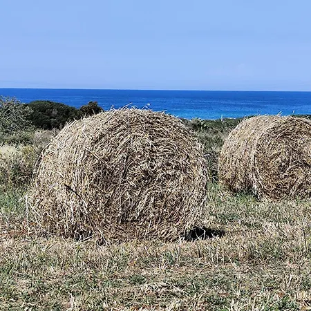Casa Mirabilis 44 Hébergement de vacances *