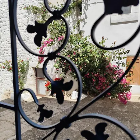 Hébergement de vacances Casa Mirabilis 44