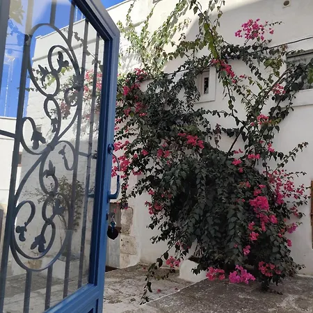 Casa Mirabilis 44