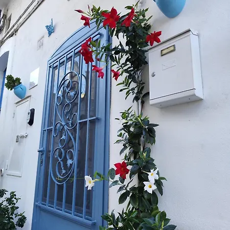 Hébergement de vacances Casa Mirabilis 44 *