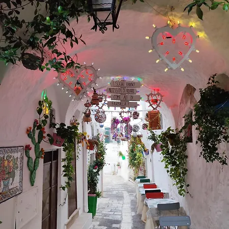 Casa Mirabilis 44