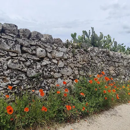 Casa Mirabilis 44 *
